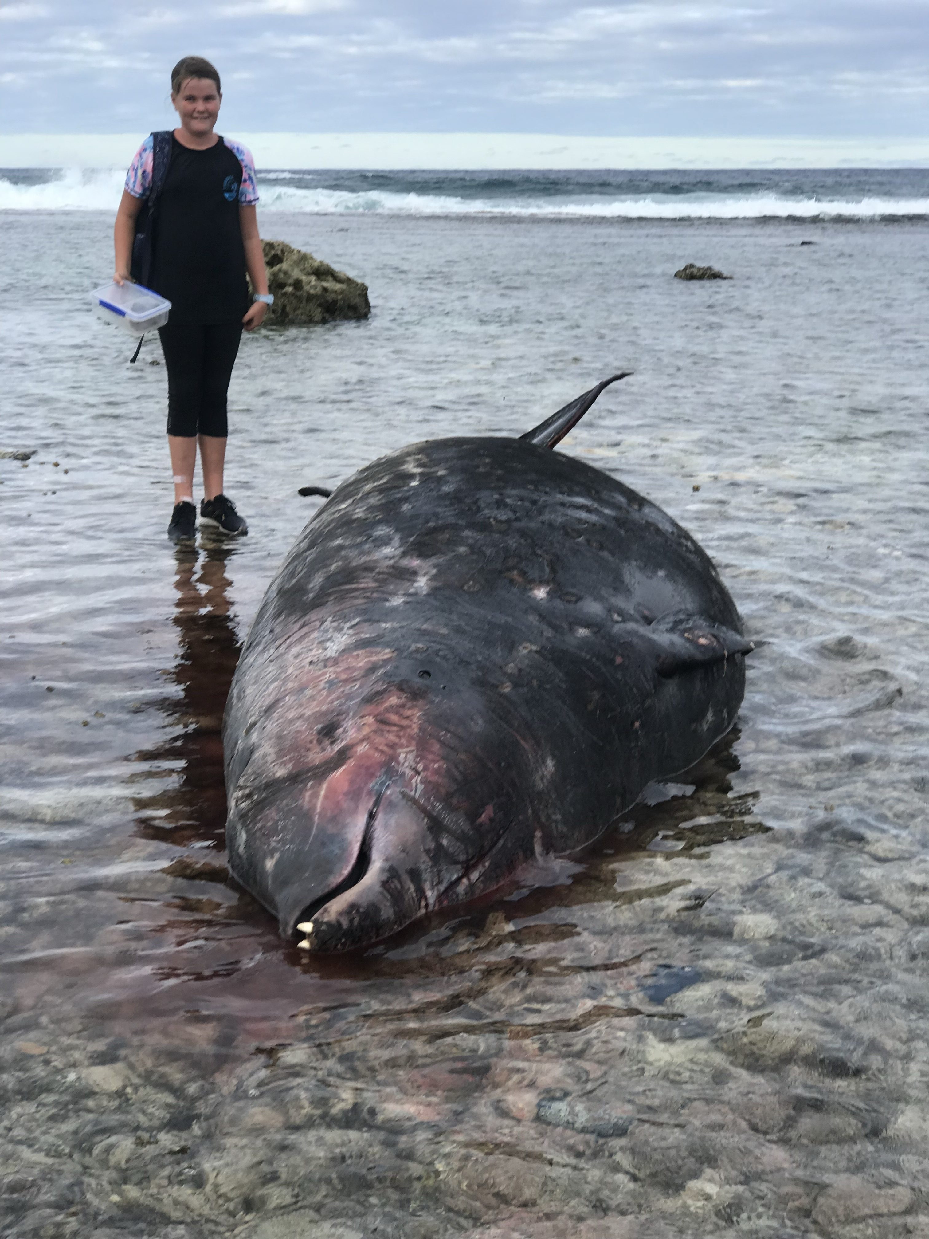 Volunteer Next to Beached Whale